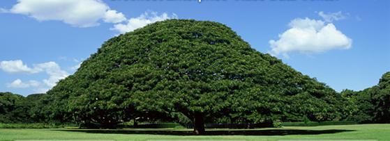 Hitachi presenta su Centro de Datos Ecológico