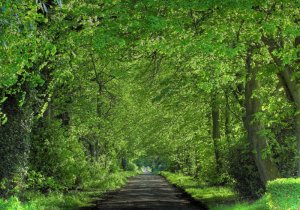 Las empresas españolas ponen manos a la obra para reducir su consumo energético