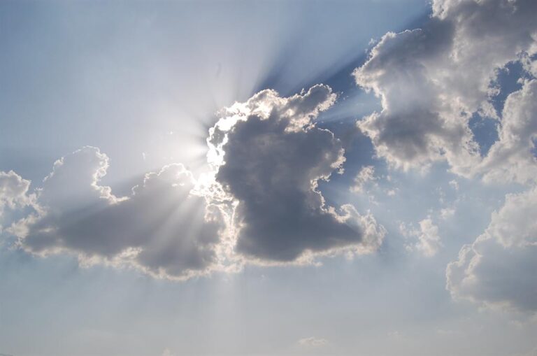 Polymita 6, BPM on the cloud