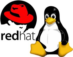 Los ingresos de Red Hat aumentan con las suscripciones