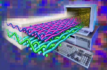 El COIT analiza las razones para abogar por negocios TIC