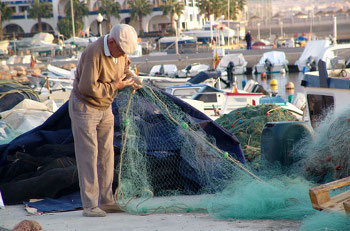Andalucía confía en los servicios de consultoría de Ingenia y Lucierna