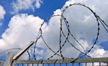 McAfee e Intel velan por la protección del consumidor