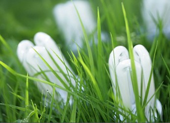 Las TIC son una pieza clave para el desarrollo sostenible