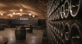 Bodegas Codorníu