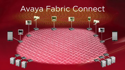 Avaya Fabric Connect