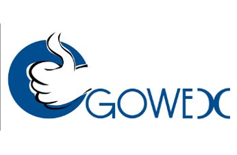 Gotham City Research tumba la cotización de Gowex