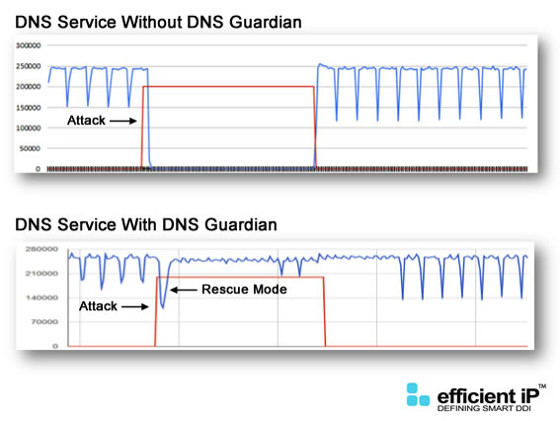 DNS Guardian de Efficient IP