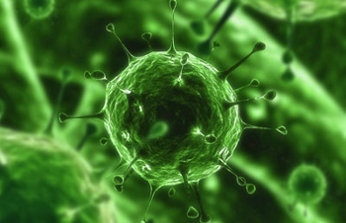 El 80% de los internautas españoles ha sido víctima de virus en la Red