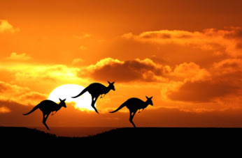 Australia pretende desplegar una red de acceso de banda ancha de alta velocidad que cubrirá 8 millones de dependencias en 2020.