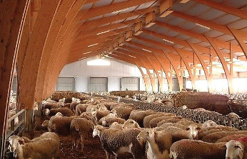 Instalación agropecuaria manchega.