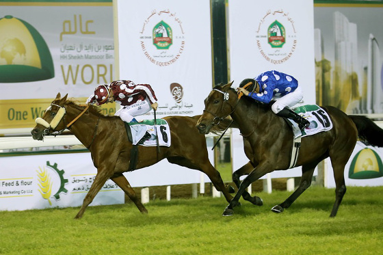 El instituto árabe de crianza y carreras de caballos optimiza su contact center