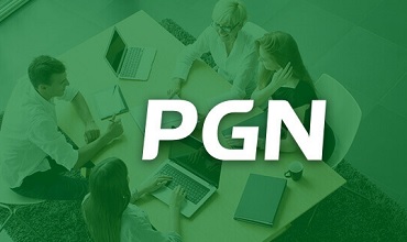 PGN Grupo Pagero
