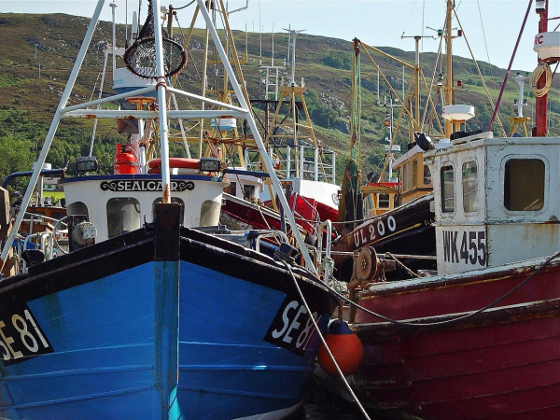 Sólo el 1% de los 10.000 pesqueros que hay en España disfrutan de tecnología VSAT