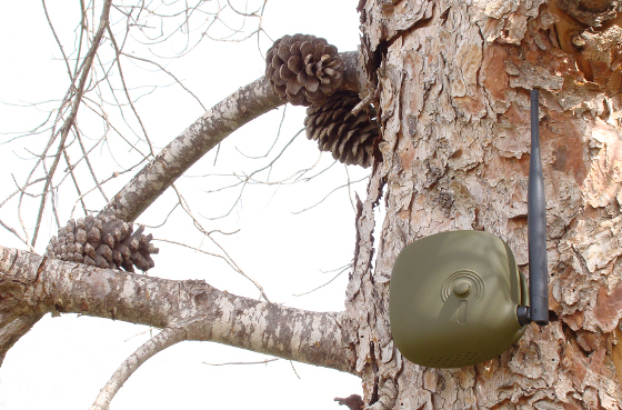 NTForest asegura la conectividad de sus detectores antiincendios con Matooma.