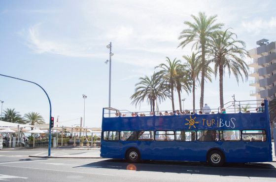 Línea de transporte público de Alicante.