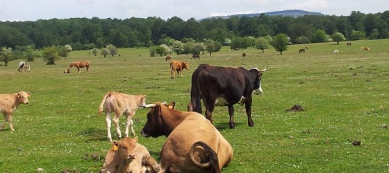 La sierra de Urbasa (Navarra) instala una antena de IoT para dar cobertura a 15.000 hectáreas
