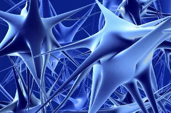 Redes neuronales, la gran innovación en el mundo de la traducción