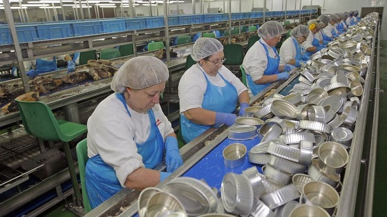 La conservera gallega Jealsa moderniza su infraestructura TI bajo un modelo multicloud