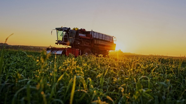 Nutreco aumenta la productividad de su negocio