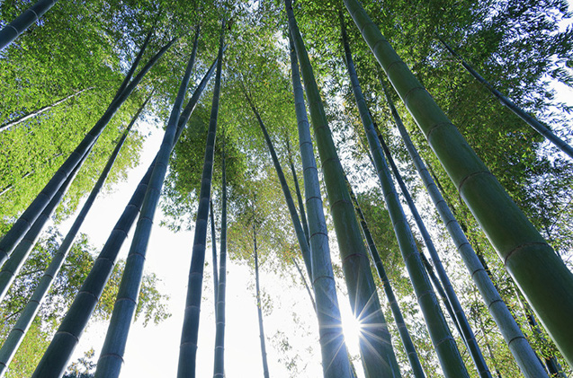 ¿Cómo reducir la huella ambiental del sector TIC?