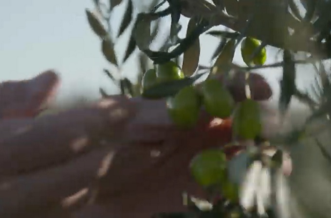 La Junta de Andalucía impulsa la gestión de ayudas a autónomos con Blue Prism.