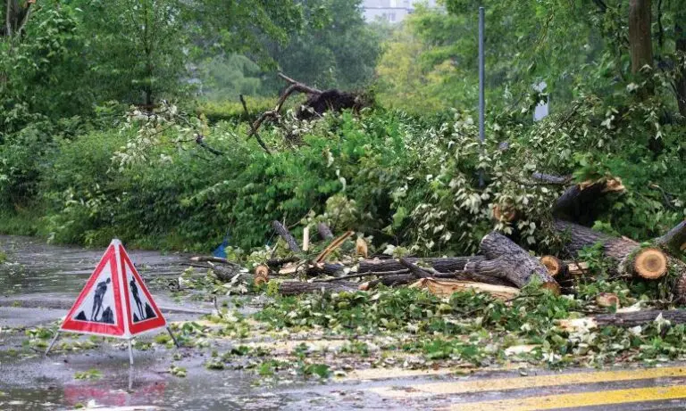 Países Bajos elige el sistema de alerta pública de Everbridge.