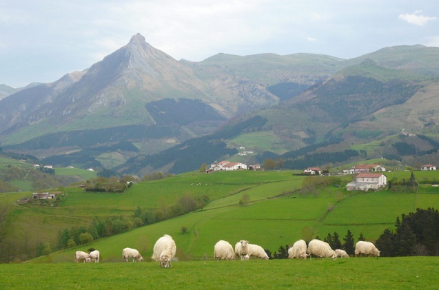Conectividad IoT vía satélite en Guipúzcoa: Sierra de Aralar.
