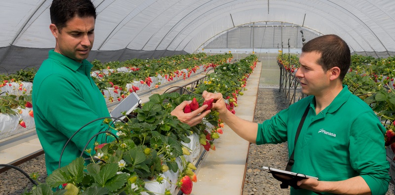 Planasa apoya su digitalización con dispositivos de Samsung.