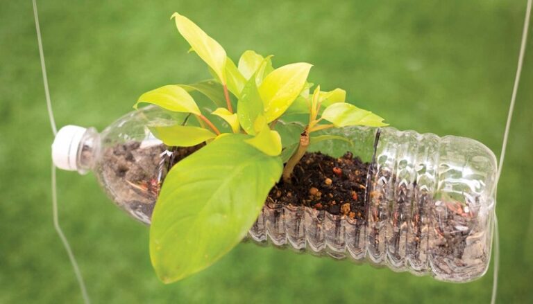 Footplastic: IoT y blockchain para acabar con la contaminación plástica industrial.