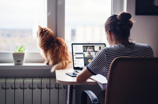 Mitel anuncia ofertas de suscripción en todas sus plataformas.