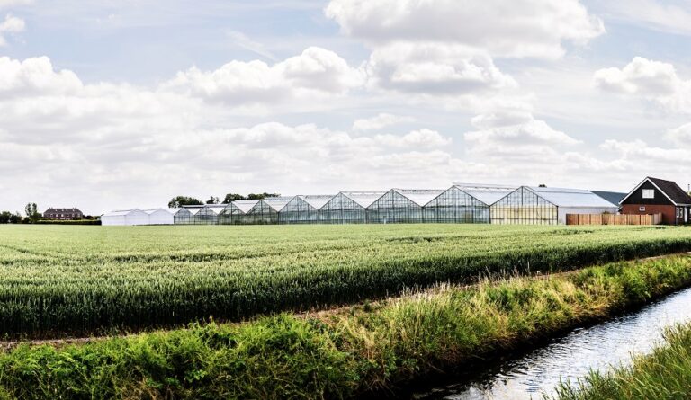 Cisco colabora en la lucha contra el cáncer haciendo el Camino de Santiago.