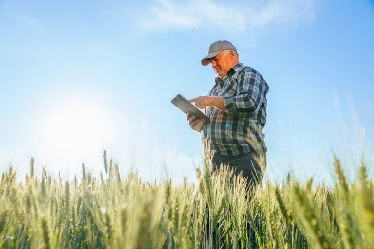 La digitalización llega a los pueblos de España.