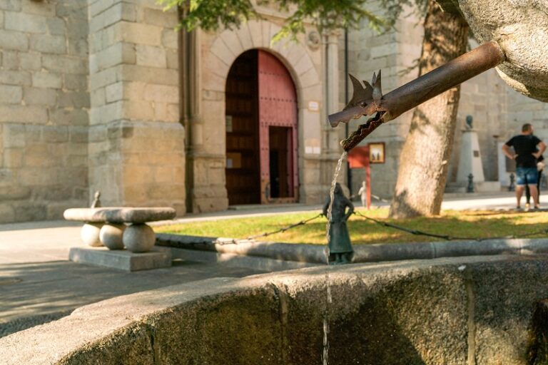 Peñaranda de Bracamonte (Salamanca).