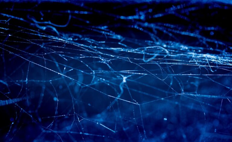 Las redes tradicionales no podían dar respuesta a las necesidades de conectividad de la sociedad.