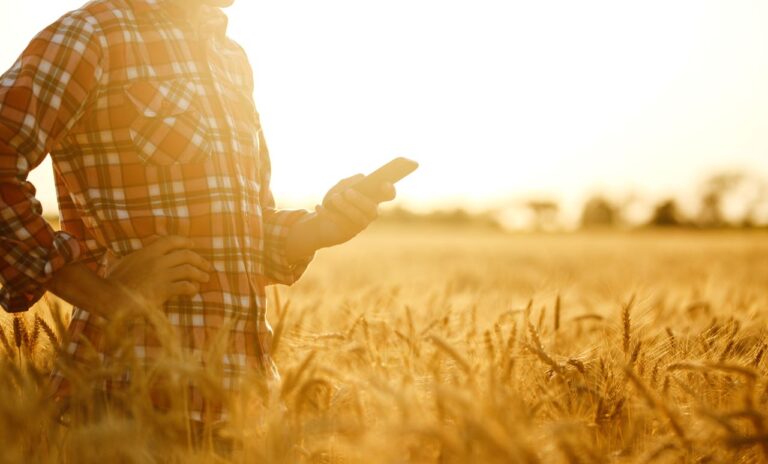 Digitalización, clave para frenar la despoblación de la España Vaciada.