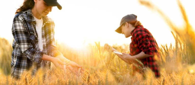 Bluevía continúa con su plan previsto de crecimiento.